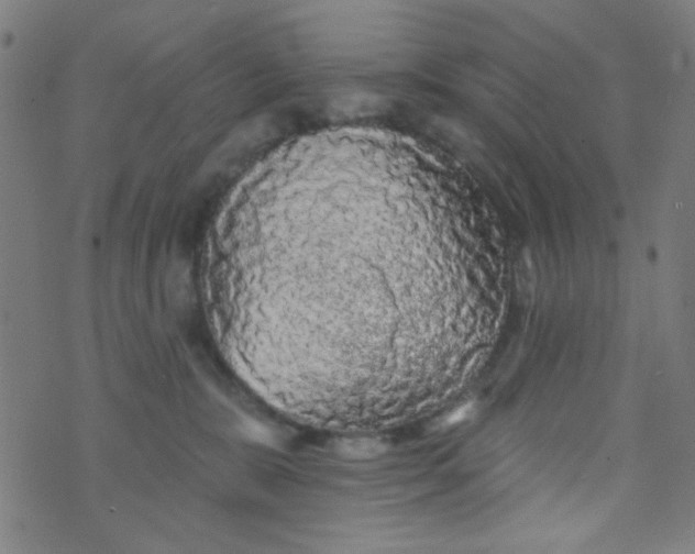 X0000070420327200606231859