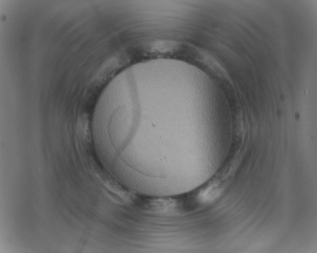 X0000070420328200606231859