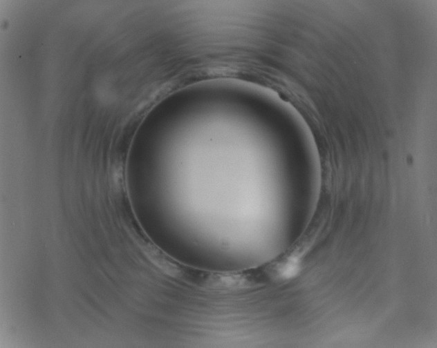 X0000070420329200606231859