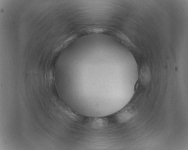 X0000070420330200606231859