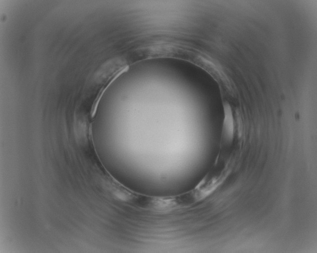 X0000070420333200606231859