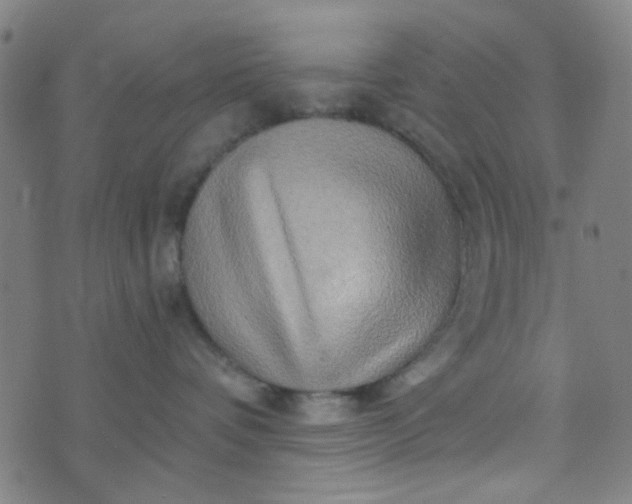 X0000070420336200606231859