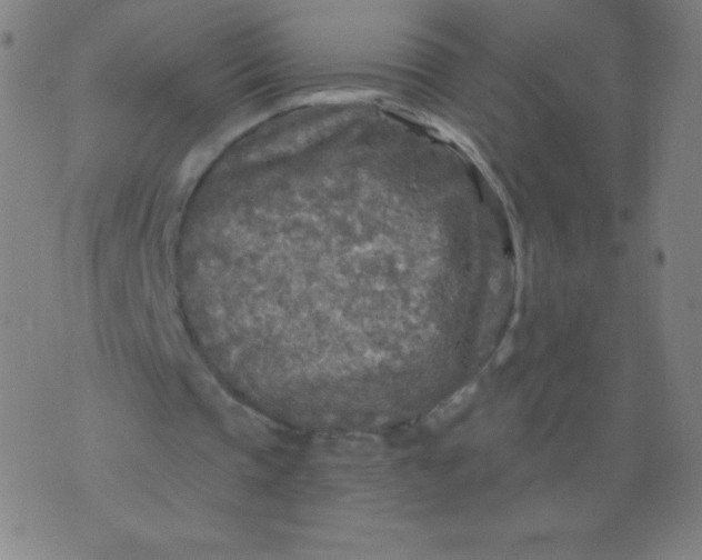 X0000070420337200606231858