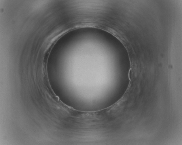 X0000070420338200606231858