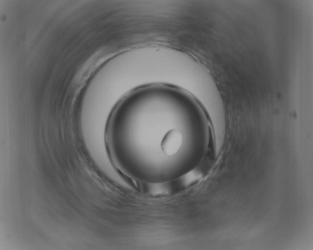 X0000070420339200606231858