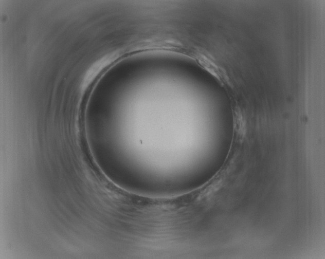 X0000070420340200606231858