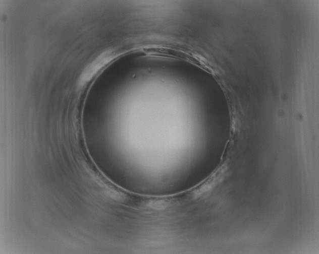 X0000070420341200606231858