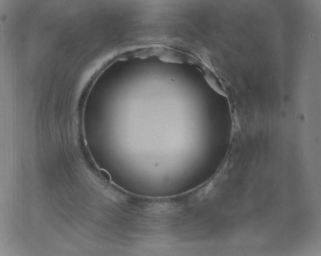 X0000070420342200606231858