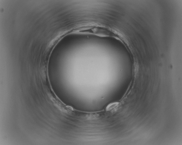 X0000070420345200606231858