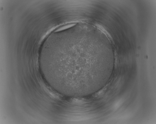 X0000070420346200606231858