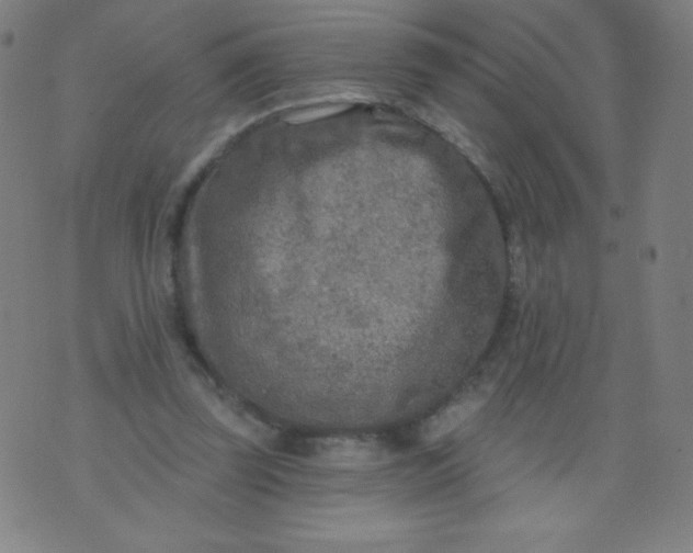 X0000070420347200606231858