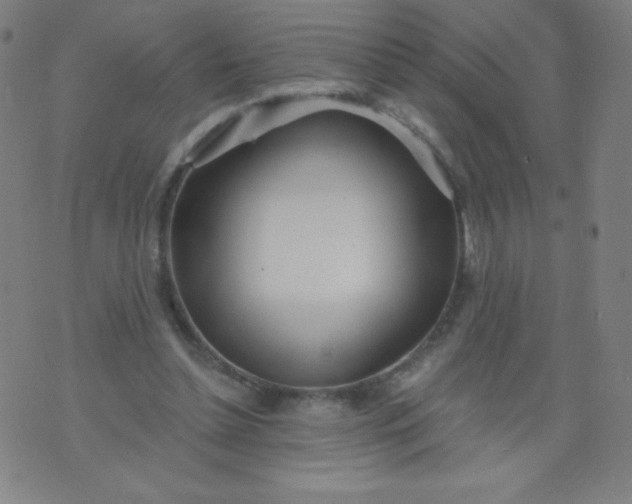 X0000070420348200606231858