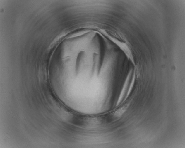 X0000070420349200606231858