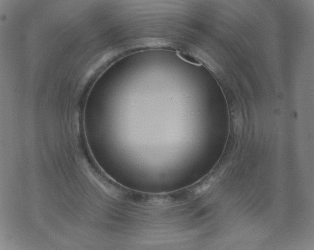 X0000070420350200606231858