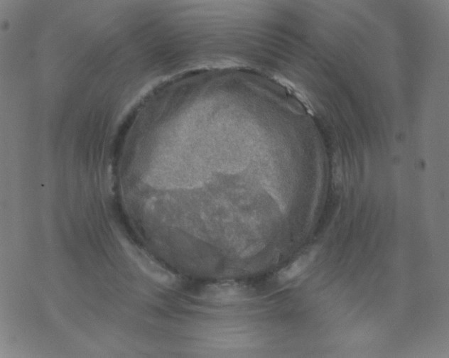 X0000070420351200606231858