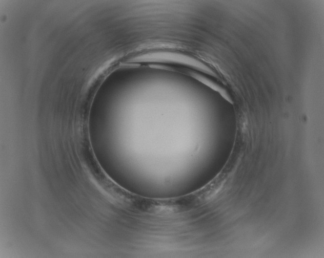 X0000070420352200606231858