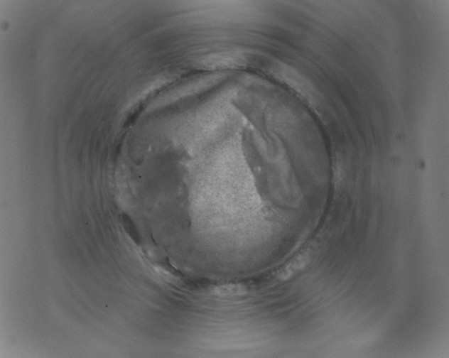 X0000070420353200606231858