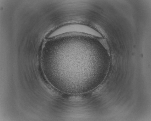 X0000070420354200606231858