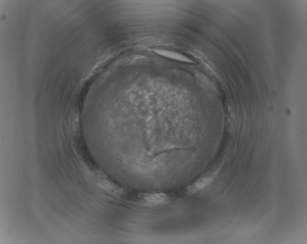 X0000070420355200606231859