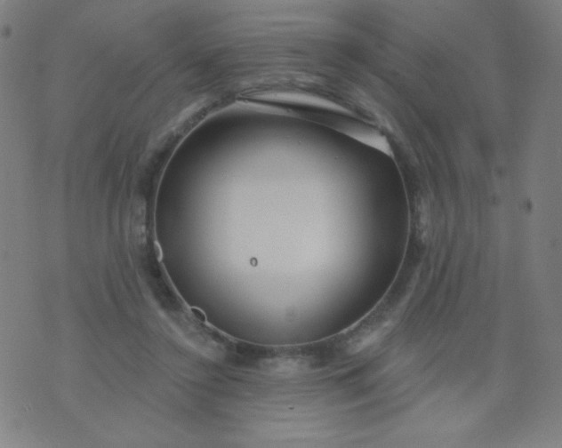 X0000070420356200606231859