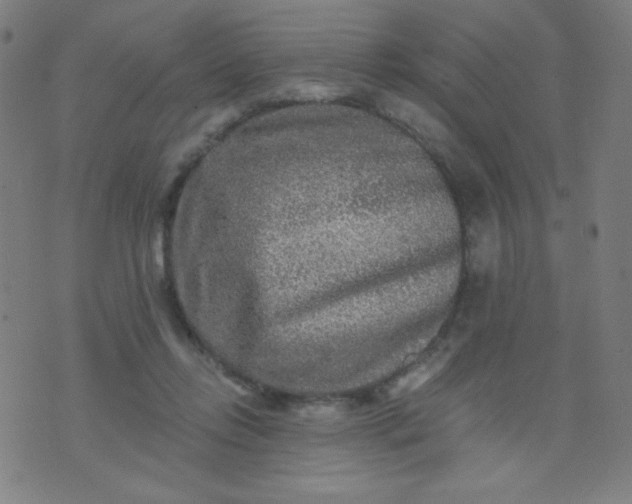 X0000070420358200606231859