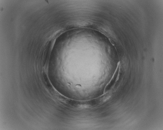 X0000070420360200606231859