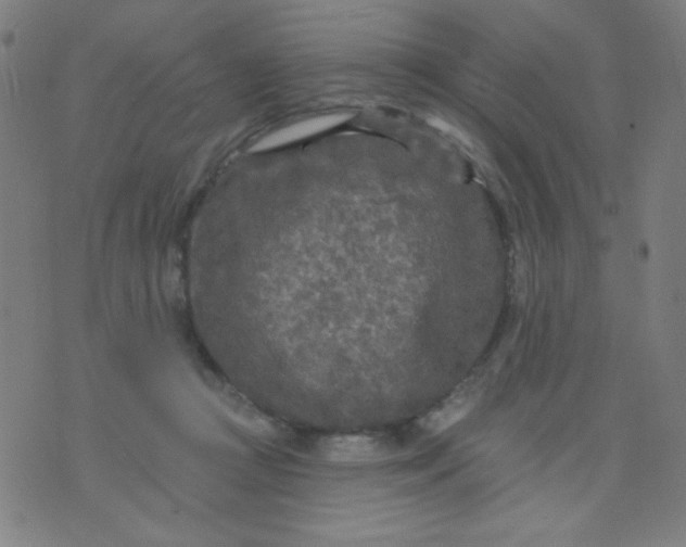 X0000070420361200606231859