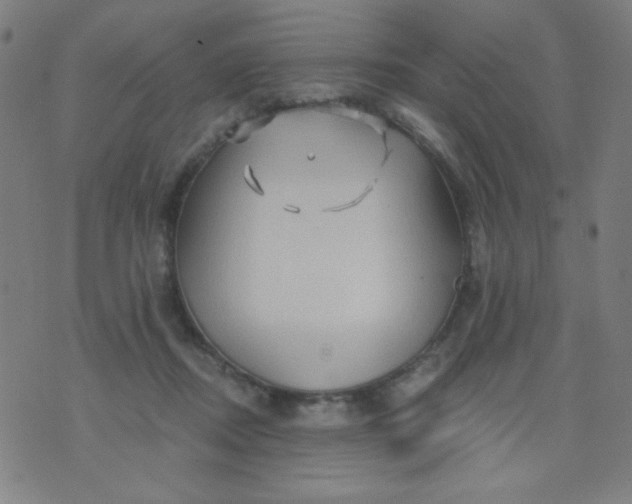 X0000070420362200606231859