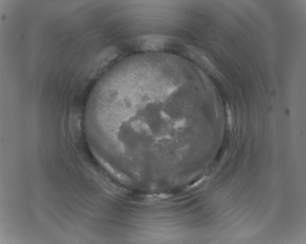 X0000070420363200606231859