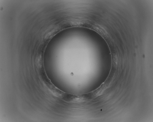 X0000070420364200606231859