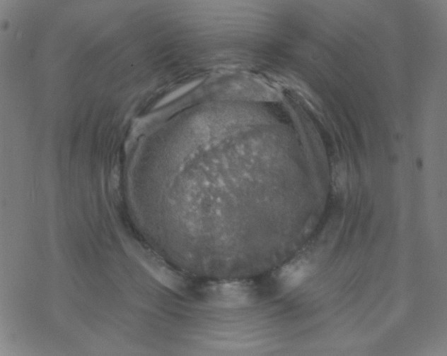 X0000070420365200606231859