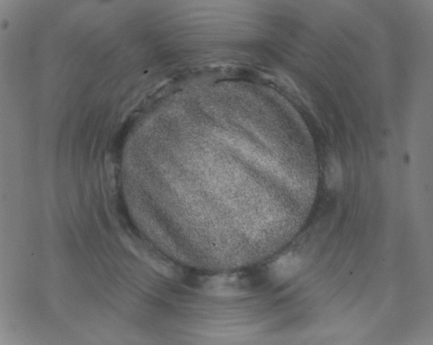 X0000070420366200606231859