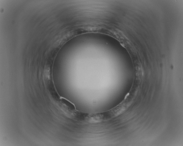 X0000070420368200606231859