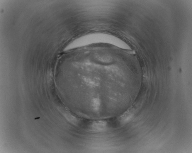 X0000070420369200606231859