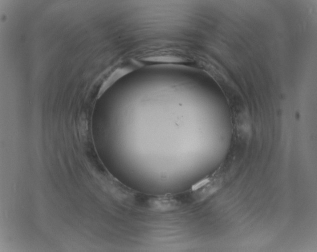 X0000070420372200606231859