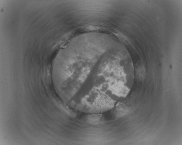 X0000070420373200606231859