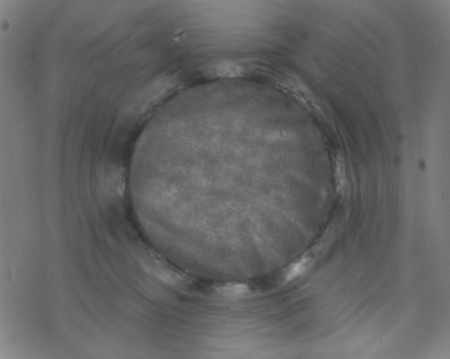 X0000070420374200606231859