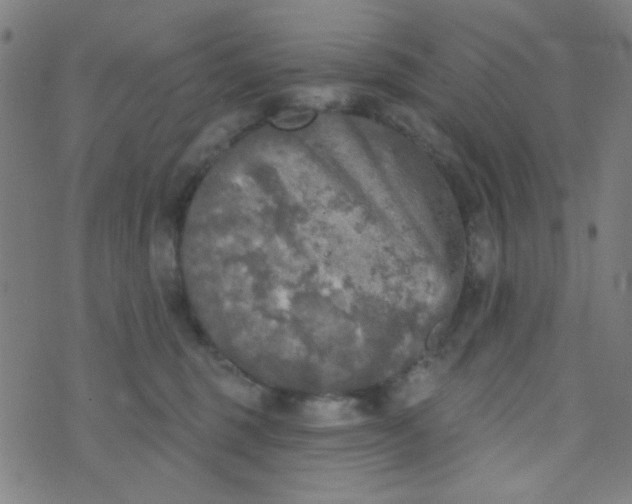 X0000070420375200606231859