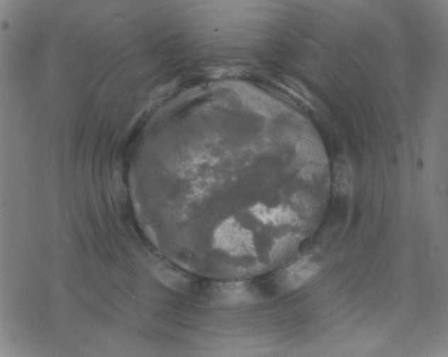 X0000070420377200606231859