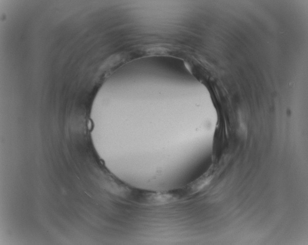 X0000070420379200606231859