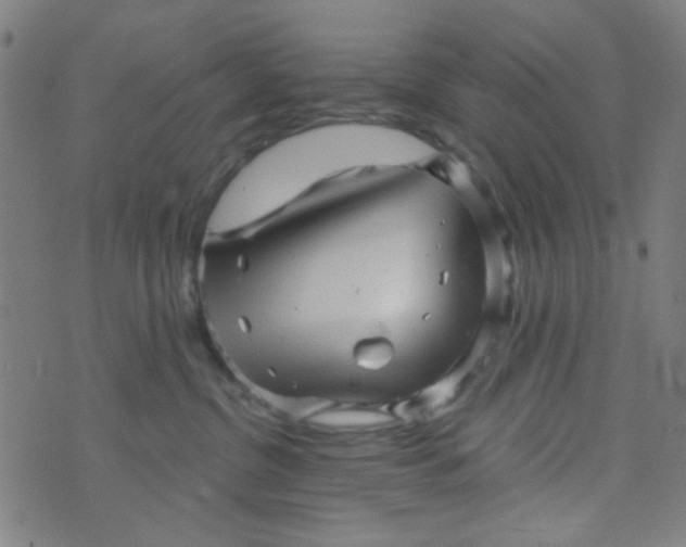 X0000070420380200606231859