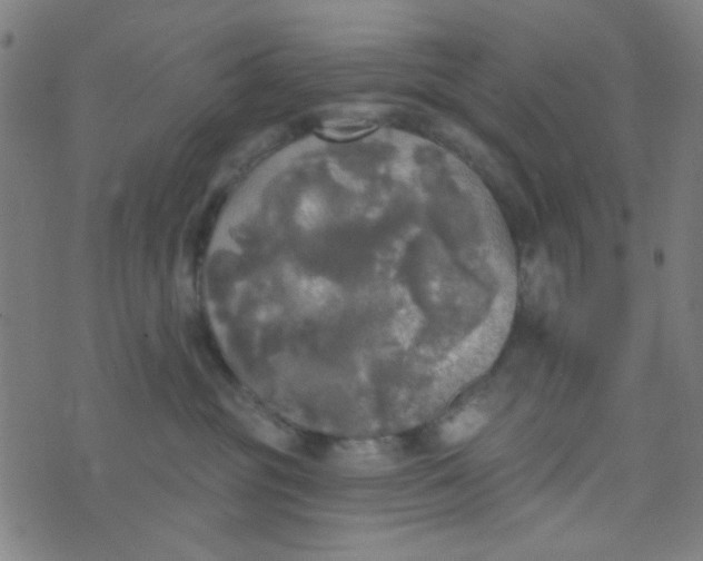 X0000070420381200606231859