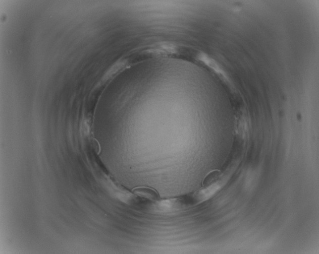 X0000070420382200606231859