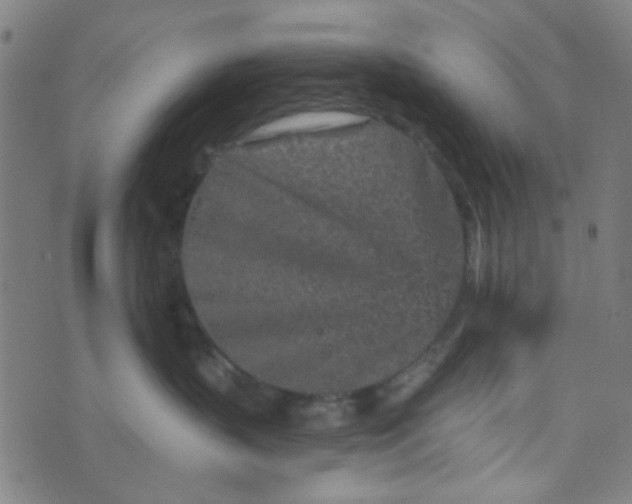 X0000070420383200606231859