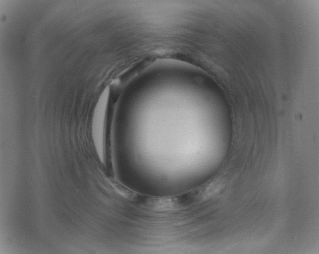 X0000070420384200606231859