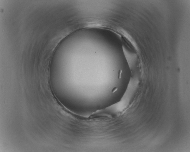 X0000070420385200606231858