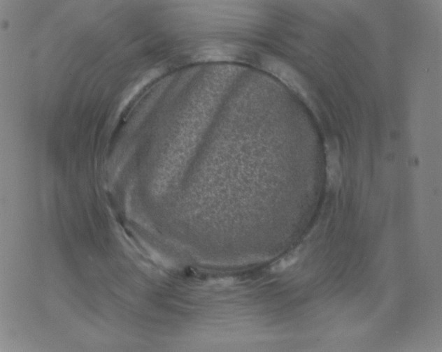 X0000070420386200606231858