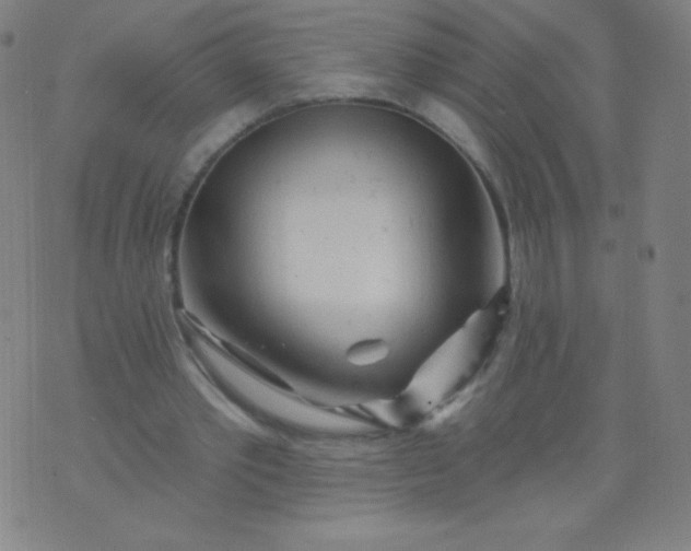 X0000070420389200606231858