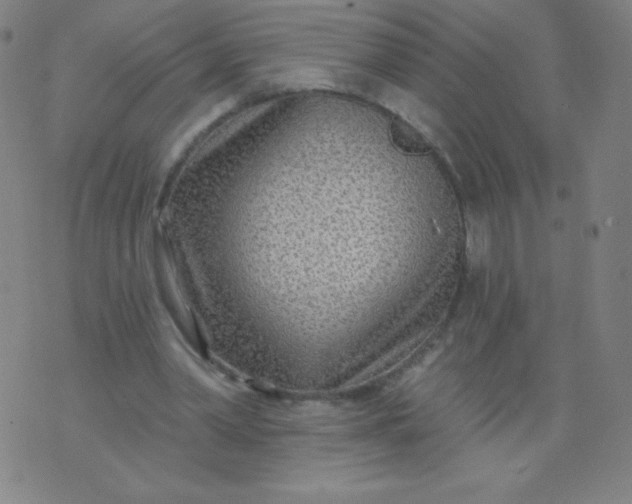 X0000070420390200606231858