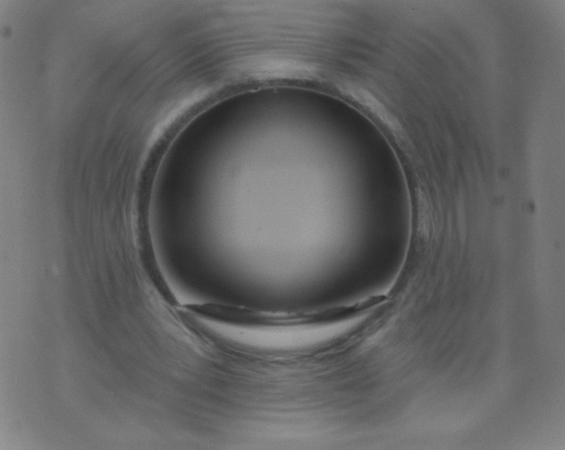 X0000070420391200606231858